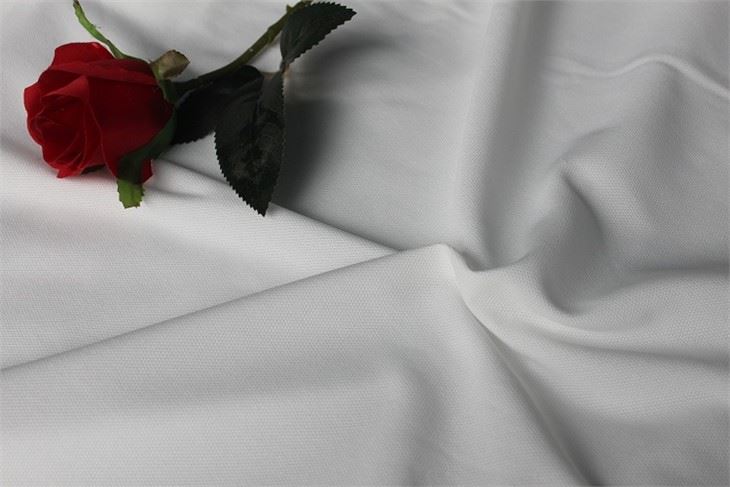 Polyester Backing For TPU Leather